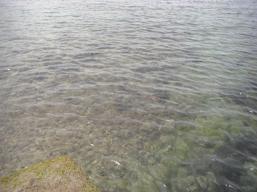 海水は透き通っていて綺麗