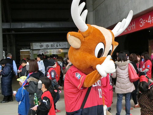 しかお