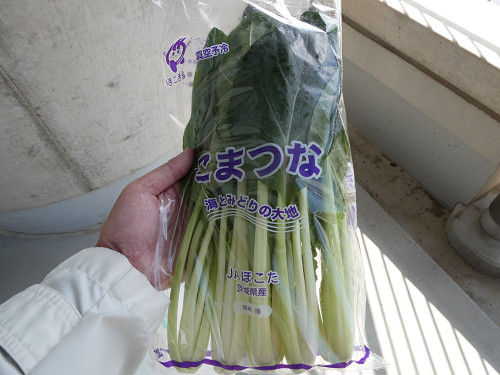 もらった小松菜